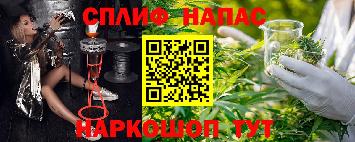 Канабис индика Шахты